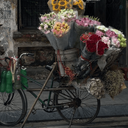 Profile picture of ‌یکی در گوشه این زمین‌