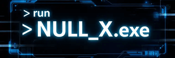 ‌NULL_X‌'s header picture