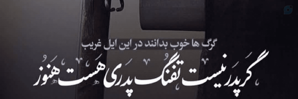 ‌Fatima Amr‌'s header picture