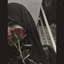 Profile picture of ‌دلریش‌