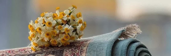 ‌خانم مبینا‌'s header picture