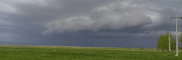 ‌حسین مولایی‌'s header picture