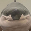 Profile picture of ‌Hi_bye‌