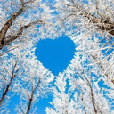 Profile picture of ‌💗فرشته عشق💗‌