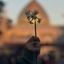 Profile picture of ‌🪽میم‌