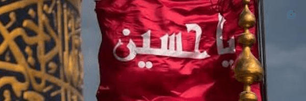‌سمانه حجت پور‌'s header picture