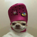 Profile picture of ‌Viki‌