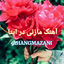 ❤️نکا تا گلستان❤️