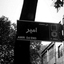 Profile picture of ‌AmiR‌