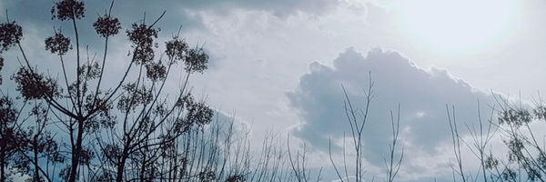 ‌بهارِ سر مستی.‌'s header picture