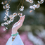 Profile picture of ‌ح سین🌱‌
