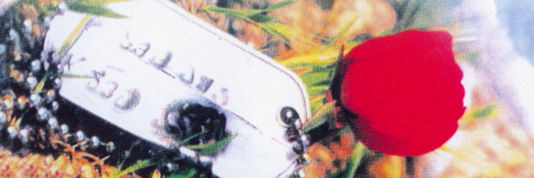 ‌با شهدا گم نمی‌شویم‌'s header picture