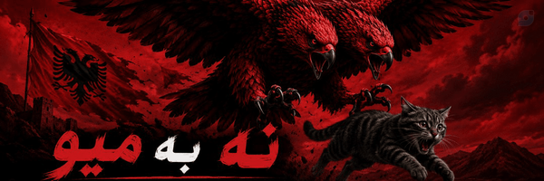‌Agha Arman🇦🇱‌'s header picture