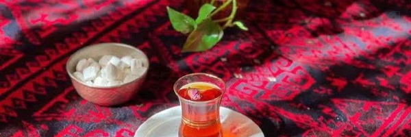 ‌عابده مرادی‌'s header picture