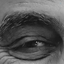 Profile picture of ‌-ا¹³³ا-‌
