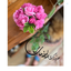 Profile picture of ‌.Setare.K‌