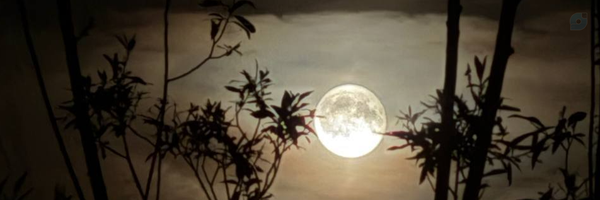‌معمار کوچولو :)‌'s header picture