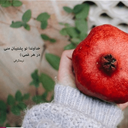 Profile picture of ‌Elham Aghashahi‌