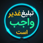 Profile picture of ‌ابوسُبحان‌