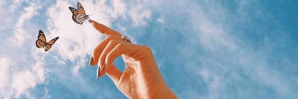 ‌𝐵𝑒𝒶𝒸𝒽‌'s header picture