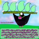 Profile picture of ‌محمود سلمانی‌