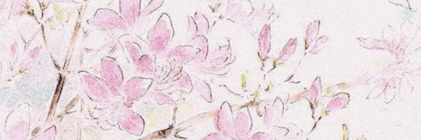 ‌Claire | 𐬝𐬁𐬭𐬁‌'s header picture