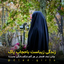 Profile picture of ‌Hakimh Namazi‌