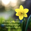Profile picture of ‌رباب علی نژاد‌