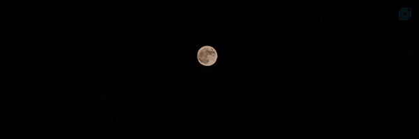 ‌وابسته به نور‌'s header picture