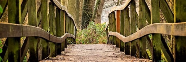 ‌ایستاده در انتظار‌'s header picture