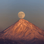 Profile picture of ‌مهاجر‌