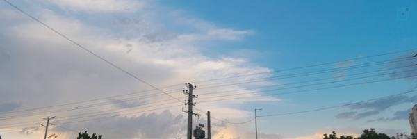 ‌Maggie‌'s header picture