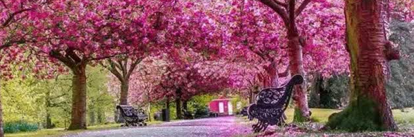 ‌ندا اردستانی‌'s header picture