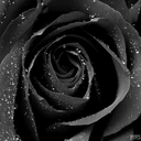 Profile picture of ‌یادداشت‌های یک ناشناس‌