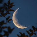 Profile picture of ‌آوٰات‌