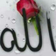 Profile picture of ‌طاهره رضایی‌