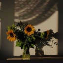 Profile picture of ‌قطره ای از شهریار‌