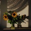 Profile picture of ‌قطره ای از شهریار‌