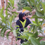 Profile picture of ‌t.b barati‌