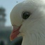 Profile picture of ‌user1748160341285008522 S‌