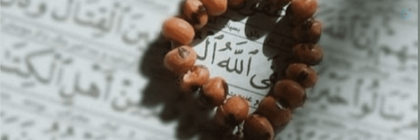 ‌نسیم شاه ولی‌'s header picture