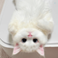 Profile picture of ‌Moon‌