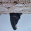 Profile picture of ‌فاطمه صرامی‌