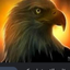 Profile picture of ‌محمد عقاب‌