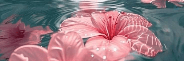 ‌ی دختر تو هرشکل تو هر رنگ تو هر وزنی     که خدا انجام داده است زیباست ❤️‌'s header picture