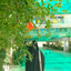 Profile picture of ‌فاطمه قاضی‌
