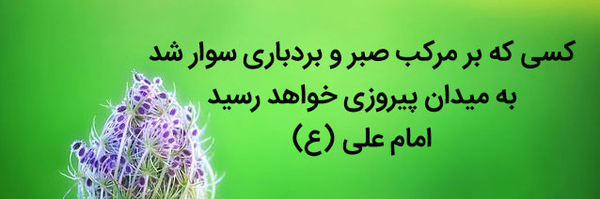 ‌امیرحسین‌'s header picture