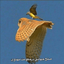 Profile picture of ‌علی عطایی‌