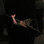 Profile picture of ‌معصومه مشایخی‌