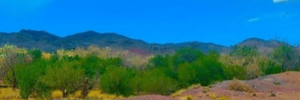 ‌Mahsa Rk‌'s header picture